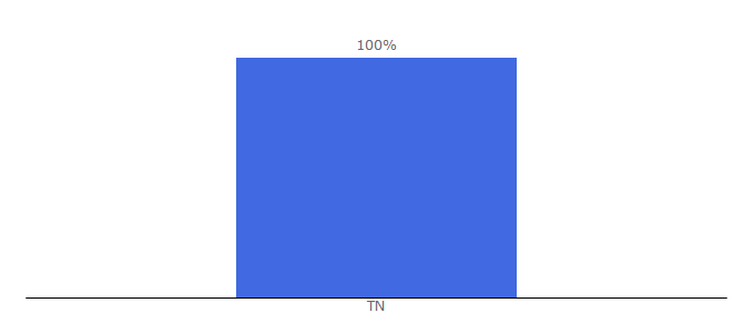Top 10 Visitors Percentage By Countries for tunisianet.net